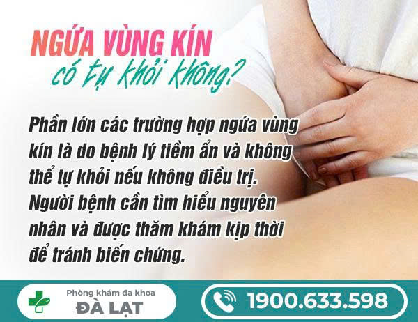 Hình ảnh minh họa